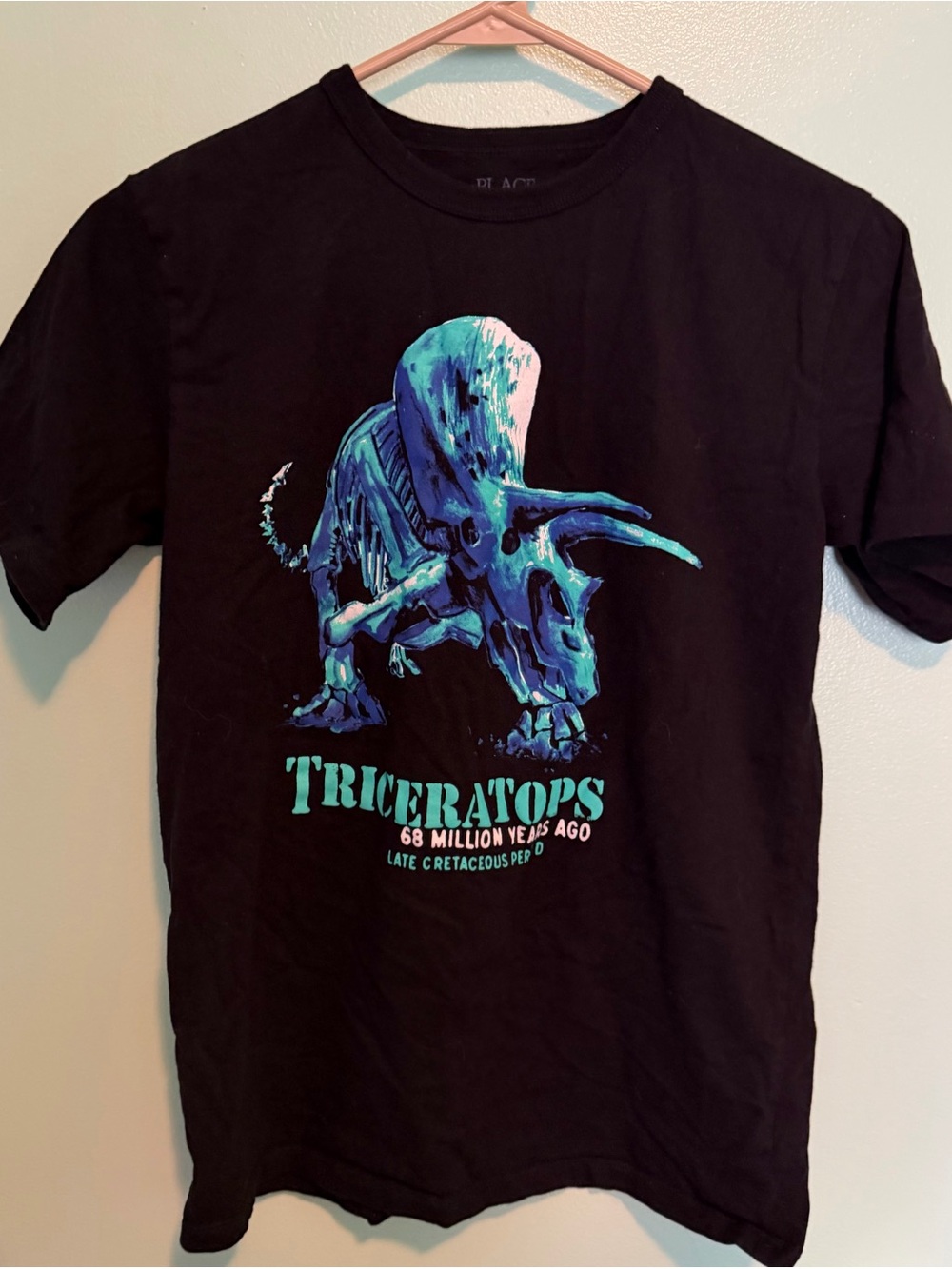Boys XL The Children's Place Black Tee with Blue-Green Triceratops Graphic